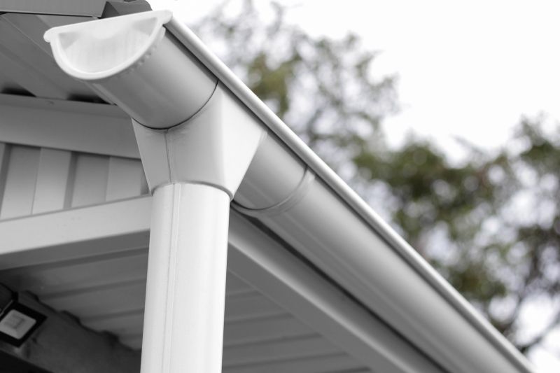 Gutter and Roof Maintenance