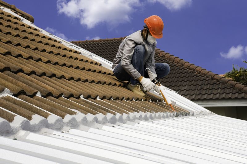 Professional Roofing Work