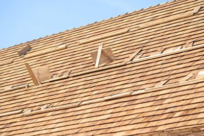 Roof Maintenance and Repairs